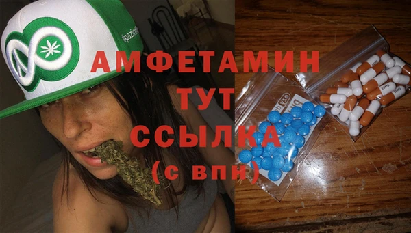 ПСИЛОЦИБИНОВЫЕ ГРИБЫ Алзамай