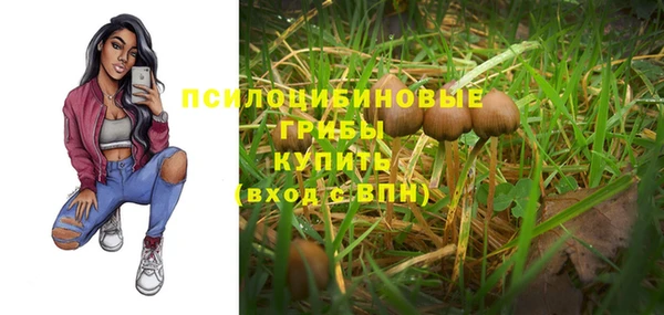 таблы Алексеевка