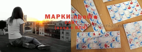 ПСИЛОЦИБИНОВЫЕ ГРИБЫ Алзамай