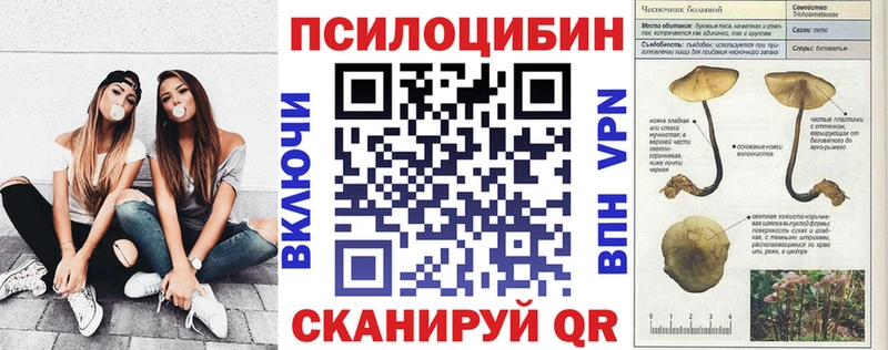 Псилоцибиновые грибы Psilocybine cubensis  omg зеркало  Безенчук 